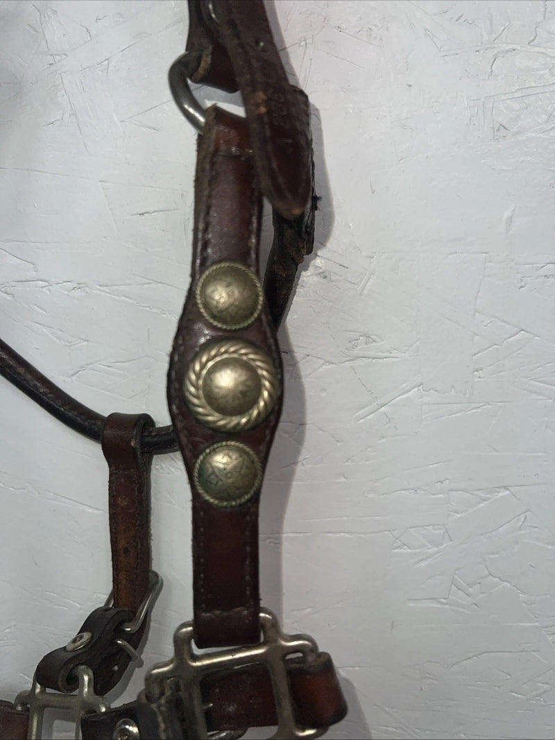 New Circle S Leather Yearling Show Halter Silver Buckles 3C-14