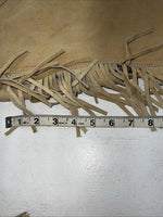 NOS Tan Show Chaps With Fringe Adjustable Waist 42” L-48