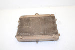 2003 Suzuki Ltf500f Oem Radiater 17710-03G10 AS27