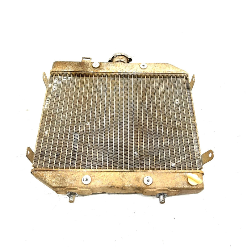 01-04 Honda Foreman Rubicon 500 TRX500 OEM Radiator 19010-HN2-505 AH95