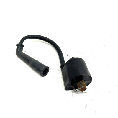 1992 Yamaha Big Bear 350 YFM350FW 4x4 OEM Ignition Coil 3GD-82310-10-00 AY53