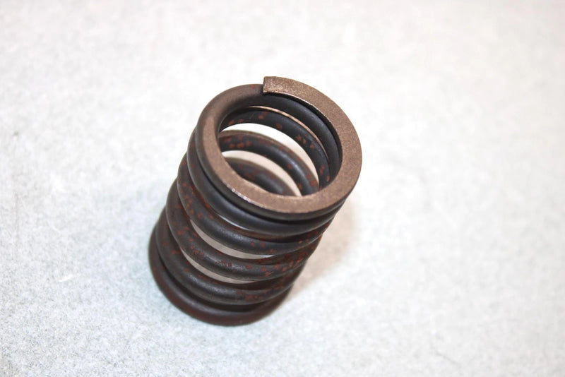 05 Yamaha  Bruin  4wd Hunter  Oem Valve Spring Set 22U-12113-00-00 AY38