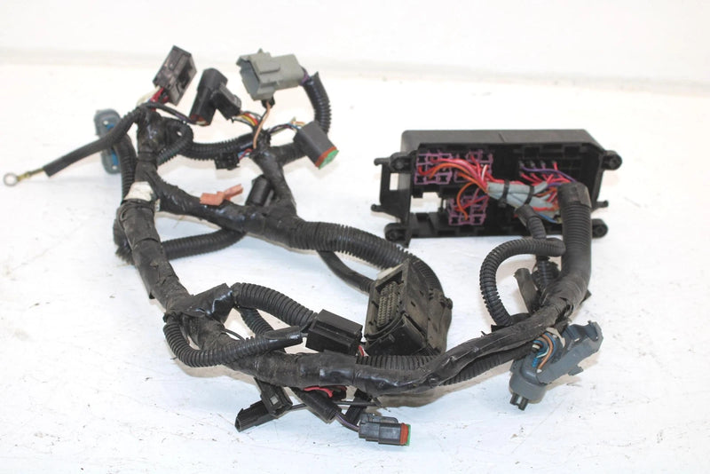 06 Ski-doo Mach 1000 Oem Main Multi Function Plate Wiring Harness 515176379 SS80