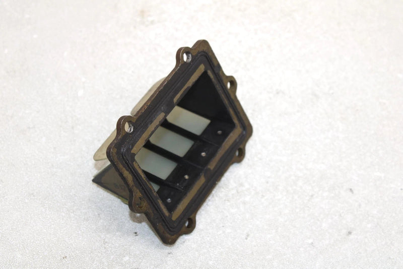 Polaris Oem Intake Reed Valve 1201916 Q1166