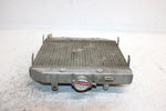 2002 Honda Foreman Rubicon Oem Radiator 19010-HN2-505 AH36