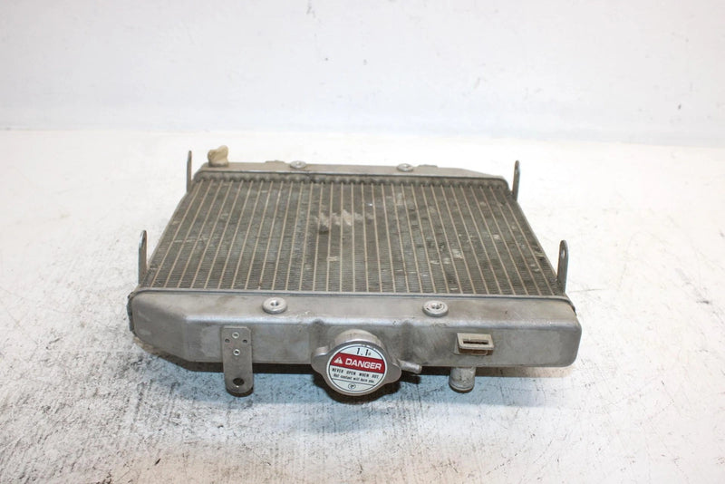 2002 Honda Foreman Rubicon Oem Radiator 19010-HN2-505 AH36