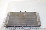 2006 Polaris Outlaw 500 Oem Radiator 1240222 2203783 AP4
