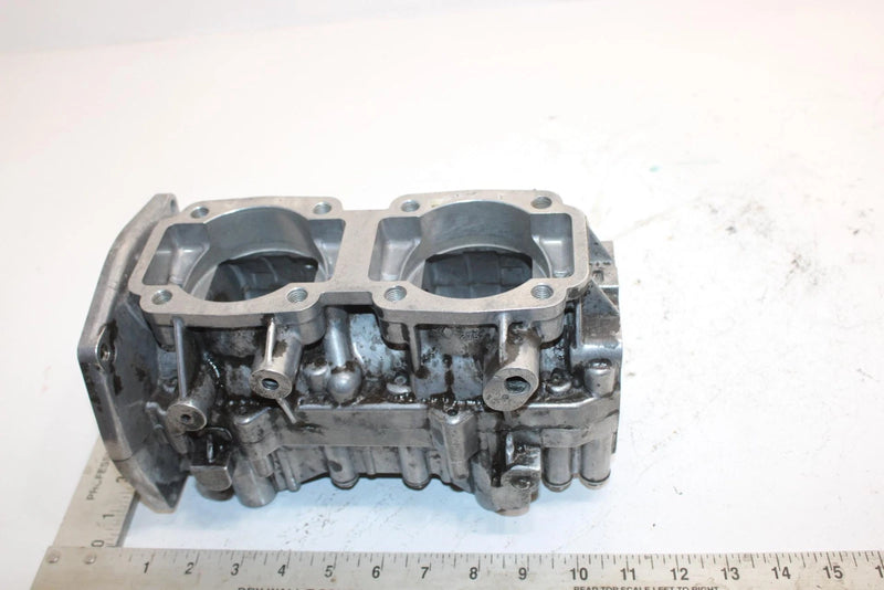 99 Arctic Cat Panther 440 Oem Crankcase 3005-912 SA29
