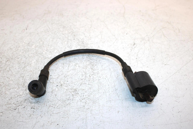 1997 Suzuki King Quad 300 4x4 Oem Ignition Coil 33410-01X50 AS11