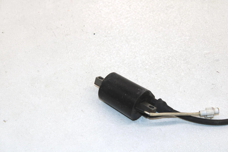 05 Polaris Rmk 900 Oem Ignition Coil MAG 4011105 SP178