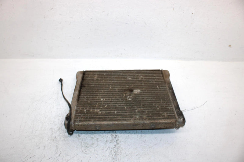 2002 Polaris Sportsman 700 Oem Radiater 1240103 1240534 AP184