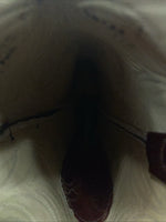 New Men’s Brown Texas Brand Cowboy Boots. M 311 9.5 9 1/2 B. 5-48