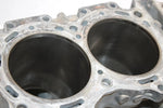 08 Arctic Cat Tz1 Touring Oem Crankcase 3007-707 SAS14