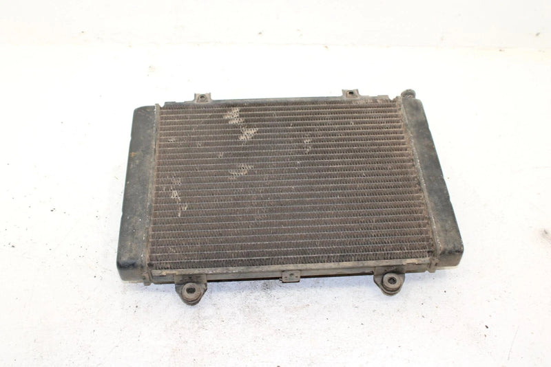 2002 Kawasaki Prairie 650 Oem Radiator 39060-0008 AK27