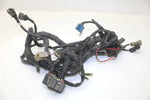 96 Arctic Cat EXT 580 EFI Mountain Cat OEM Fuel Injection Harness 3004-713 SA84