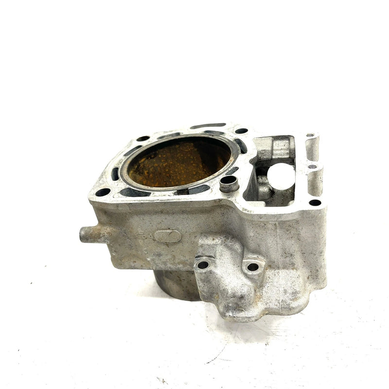 05-13 Kawasaki Brute Force 650 4x4 OEM Rear Cylinder 11005-0600 AK34