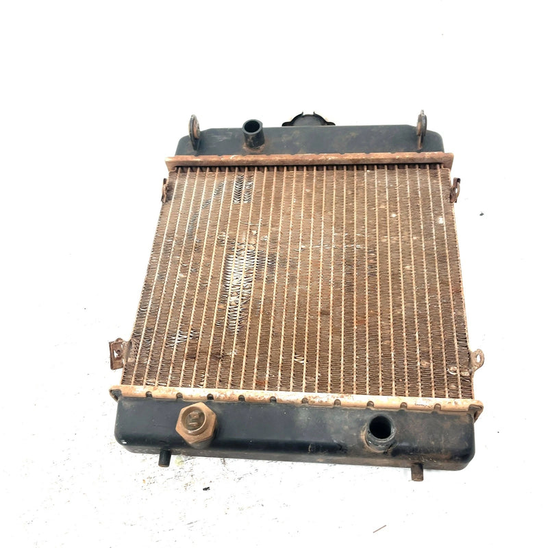 98-99 Arctic Cat 500 4X4 OEM Radiator 0413-001 AA38