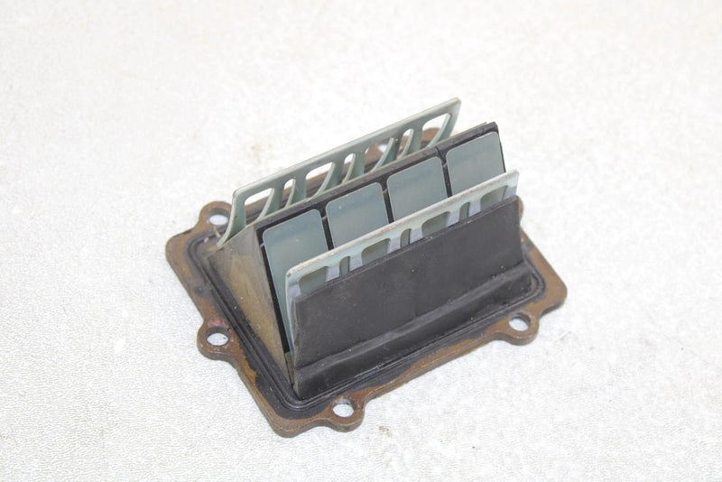 Polaris Oem Intake Reed Valve 1201831 Q1168