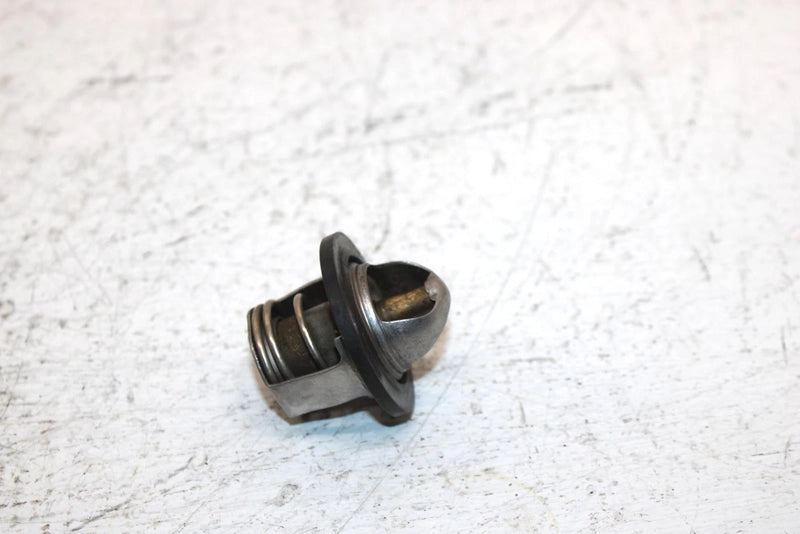 2002 Polaris Sportsman 700 Oem Thermostat 7052308 AP184