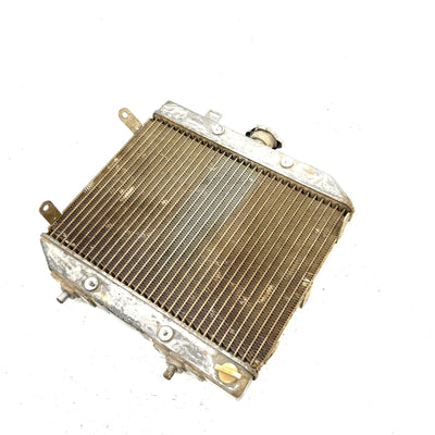 02 Honda Foreman Rubicon 500 TRX500 4x4 OEM Radiator Assembly 19010-HN2-505 AH85
