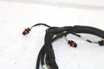 Ski-doo Oem Engine Wiring Harness 420664317 B121