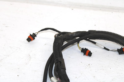 Ski-doo Oem Engine Wiring Harness 420664317 B121