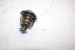 03 Arctic Cat Firecat 500 Oem Thermostat 3007-041SA269