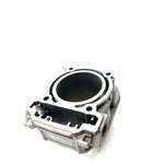 19-22 Can-Am Defender HD10 OEM 981mm Bore Rear Cylinder 420413116 XB0.3