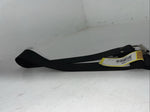 New Nylon Black Action Company Back Flank Cinch #23412BK W-32
