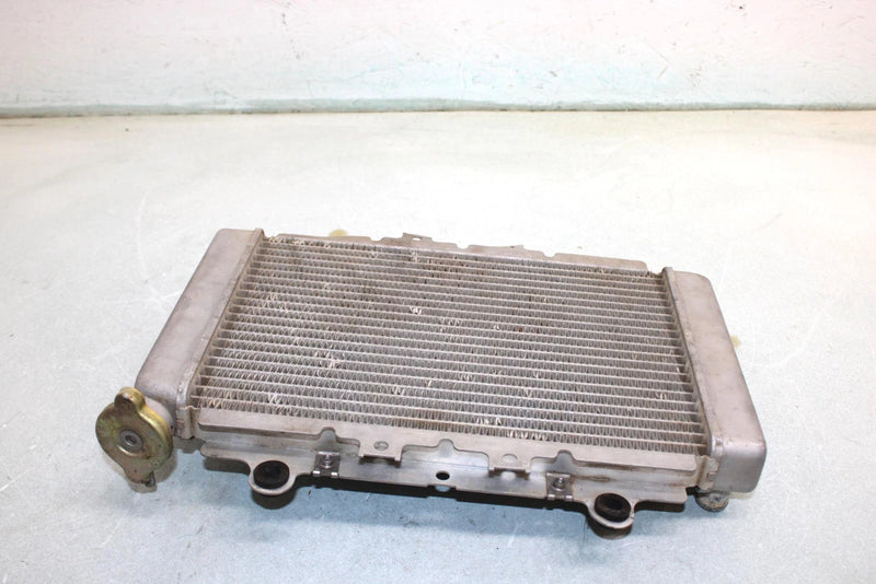 03 Yamaha  Kodiak 450 Awd Oem Coolant Radiator 5ND-E240A-00-00 AY44