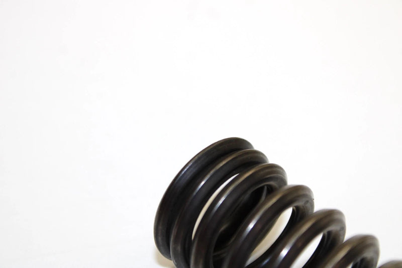 89 Suzuki Quadrunner 160 LT160E 2x4 OEM Valve Spring 12921-02c00 AS16