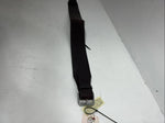 New Leather JT International Back Flank Cinch Dark Oil 3” x 1-3x4 S-53