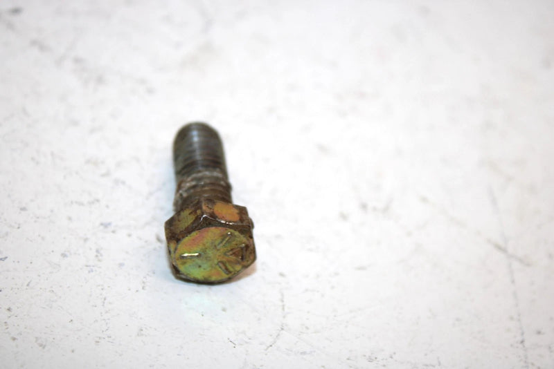 93 Arctic Cat Ext 550  Efi Oem Lower Gear Bolt And Washer 8012-222 0124-091 SAS1
