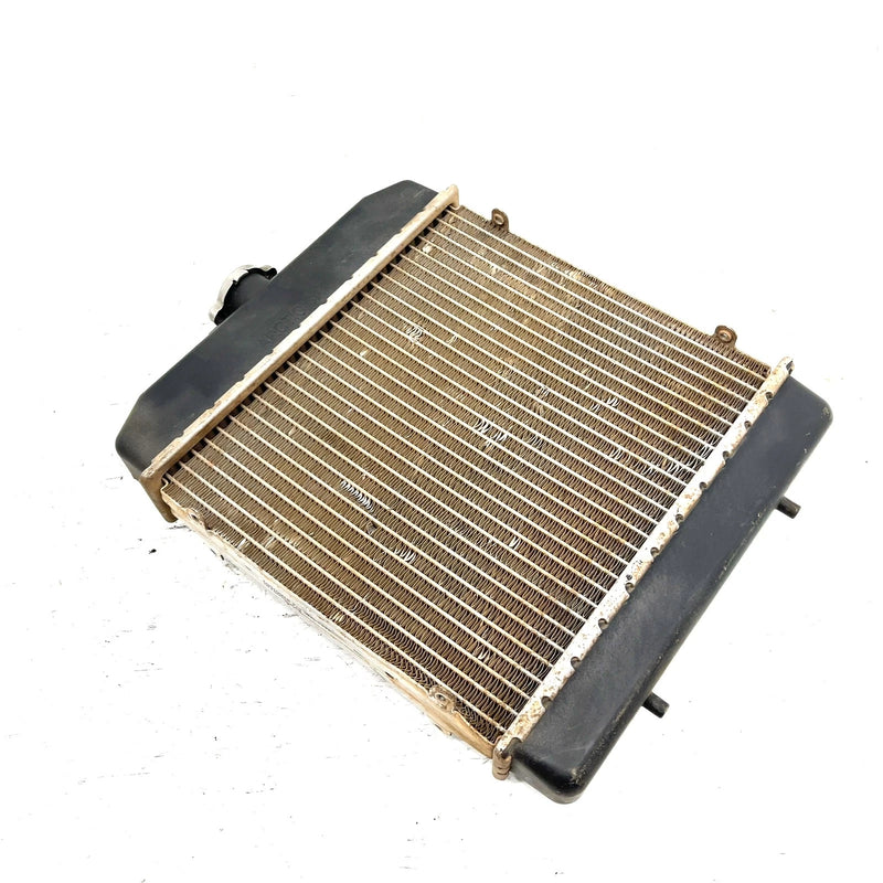 2006 Arctic Cat 650 4x4 V2 Stewart Auto OEM Radiator 0413-184 AA37