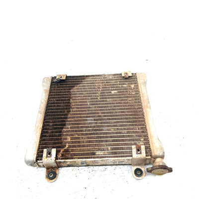 2001 Bombardier DS650 OEM Radiator 709200019 AB16