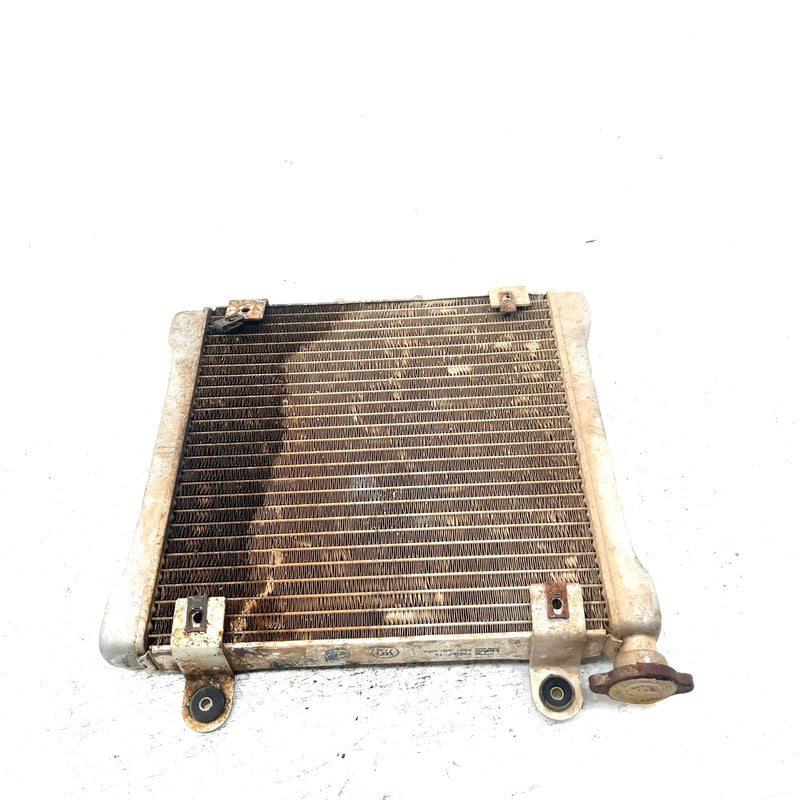 2001 Bombardier DS650 OEM Radiator 709200019 AB16