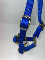 New Fabtron Blue Nylon Sheep Halter #NP121-2 3C-19
