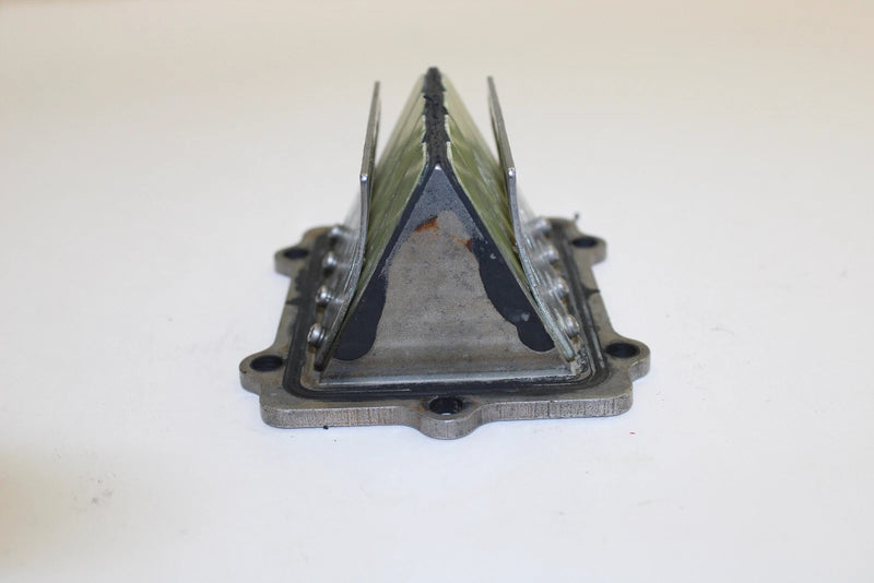 Polaris OEM Complete Stock Fuel Intake Reed Valve 1201689 Q1190