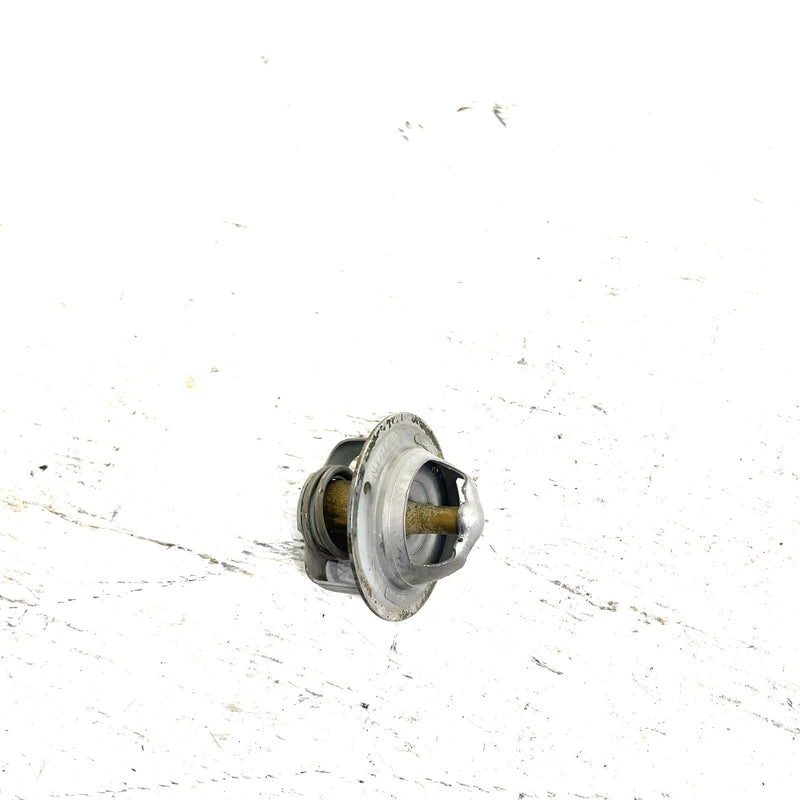 09-14 Yamaha Grizzly 550 YFM550 4x4 OEM Thermostat 3B4-12411-00-00 AY65