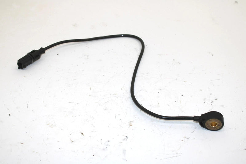 Polaris Oem Detonation Sensor 2410369 Q1003