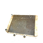 2010 Polaris RZR 800 EFI OEM Radiator 1241480 XP8