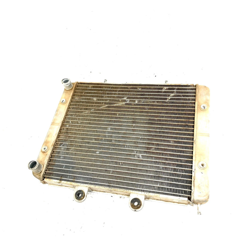 2010 Polaris RZR 800 EFI OEM Radiator 1241480 XP8