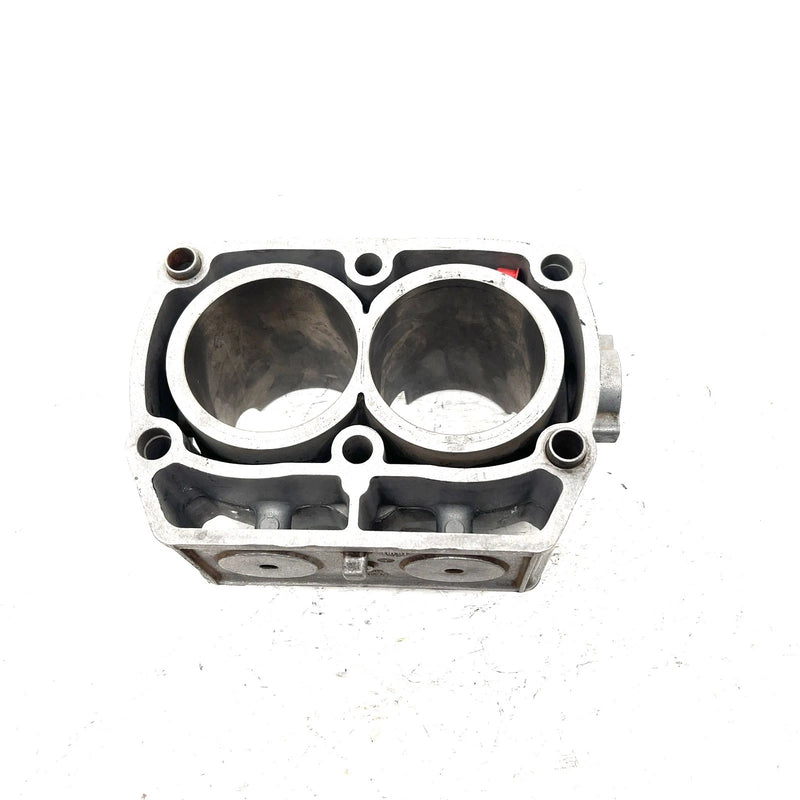02-04 Polaris Sportsman 700 OEM 80mm Cylinder 2202158 AP219
