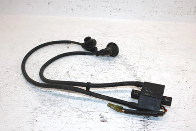 2002 Arctic Cat Z 570 Oem Ignition Coil 3005-409 SA20