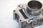 03 Bombardier Rally 175 Oem Cylinder 420613346 AB7